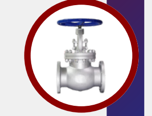 Globe Valve